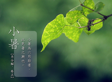 珠寶商平臺(tái)教你輕松趕走小暑的悶熱